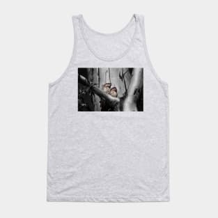 Tawny Frogmouth_6258A Tank Top